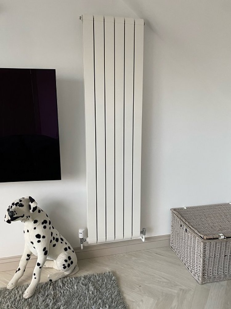 Afinia vertical radiators meet the brief for spacious loft conversion